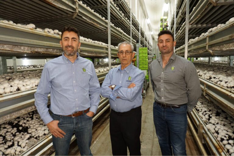 Nick Femia of SA Mushrooms with his father and brother